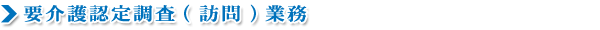 要介護認定調査（訪問）業務
