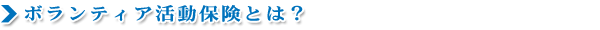 ボランティア活動保健とは？